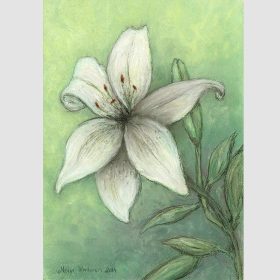 Pastel painting of a White Lily